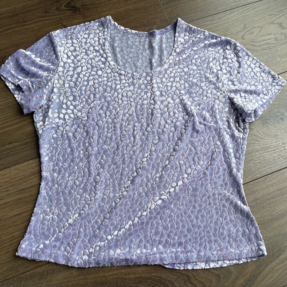 Purple Velvet Top